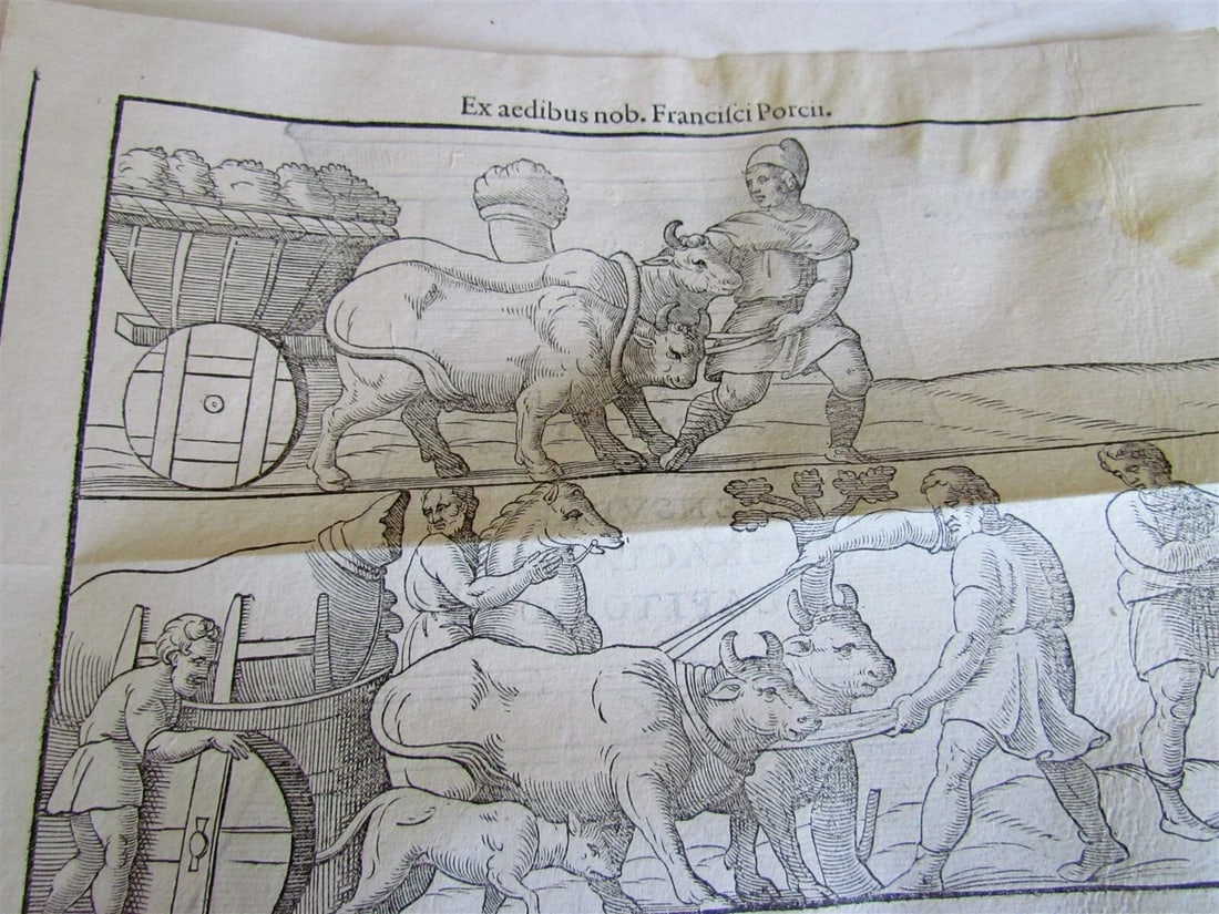 1573 ROMAN & GREEK WEIGHTS & MEASURES illustrated ANTIQUE scarce (1 of 9)