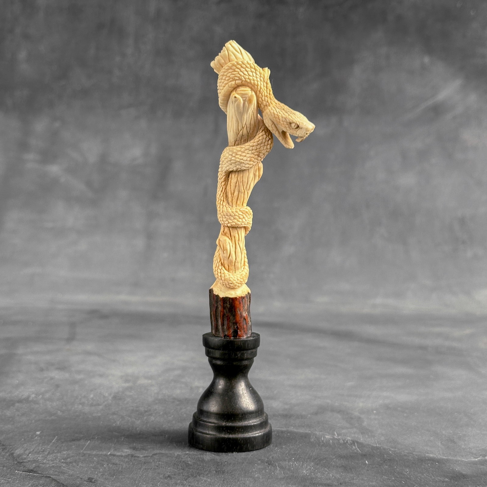 Stunning carved deer antler with stand - Snake carving - 2