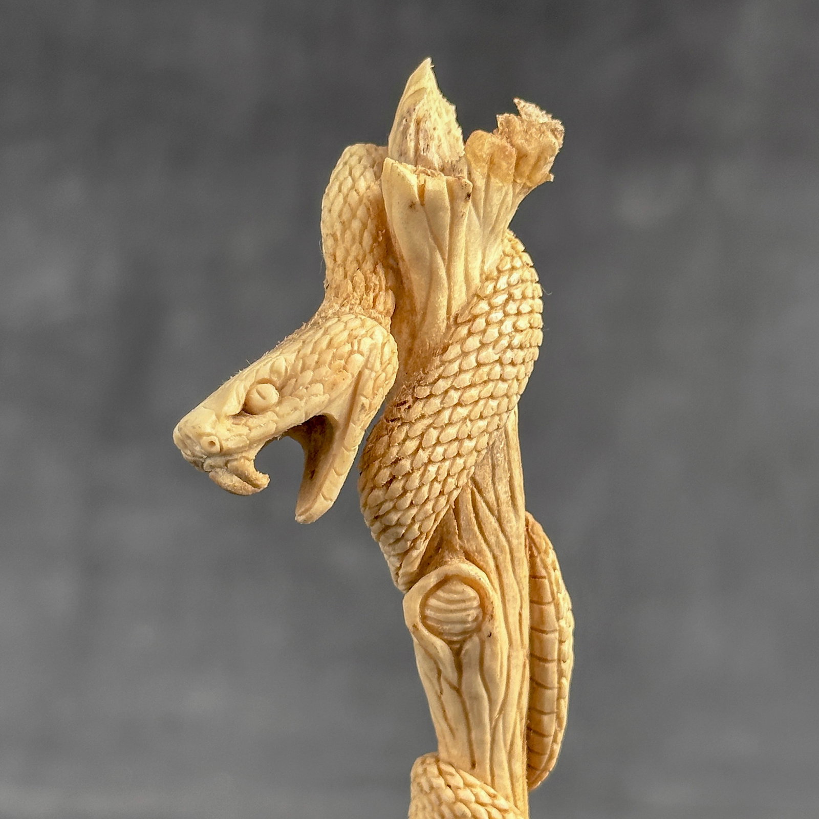 Stunning carved deer antler with stand - Snake carving - 3