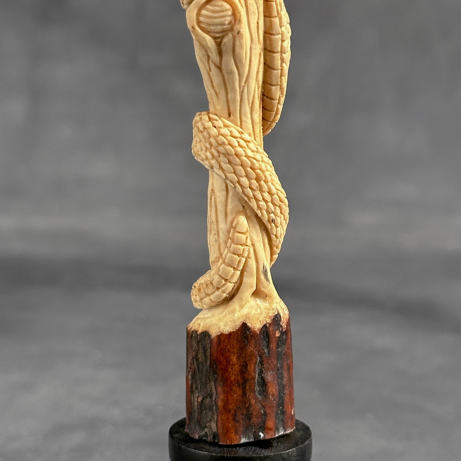 Stunning carved deer antler with stand - Snake carving - 4