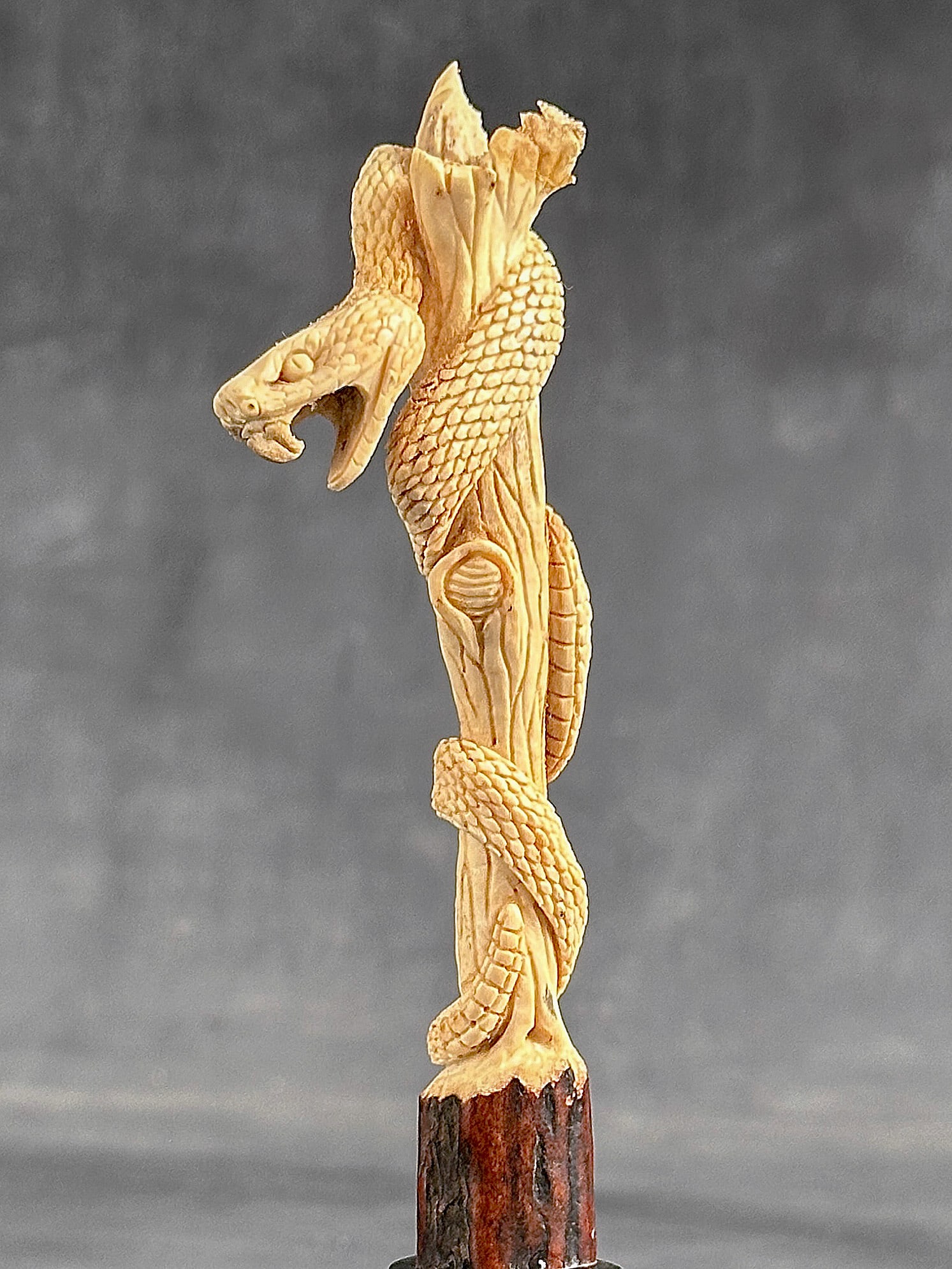 Stunning carved deer antler with stand - Snake carving - 5
