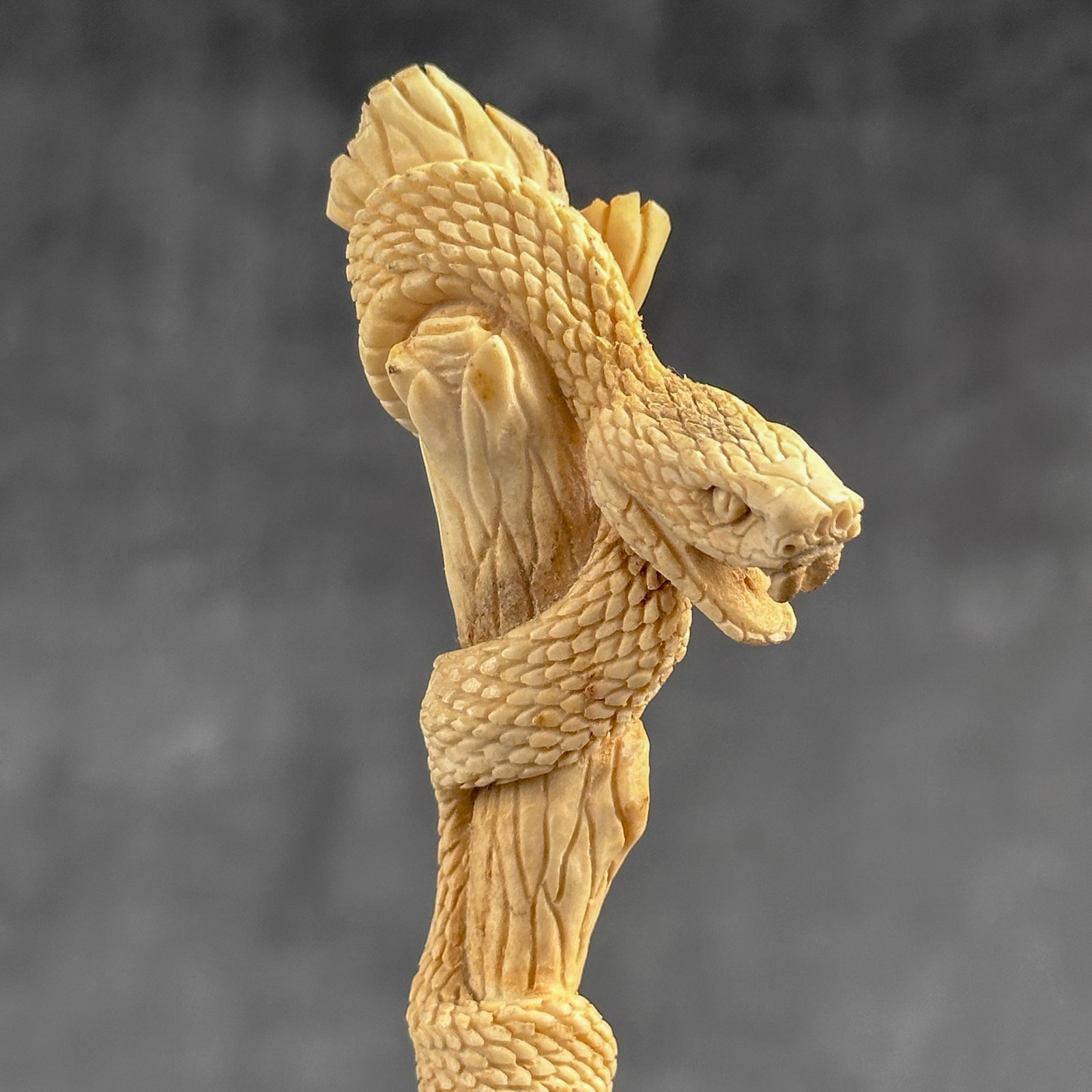 Stunning carved deer antler with stand - Snake carving - 6