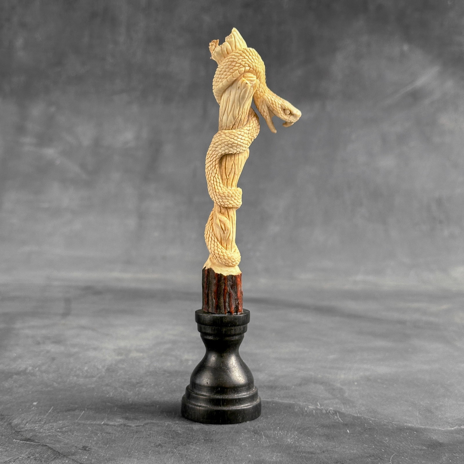 Stunning carved deer antler with stand - Snake carving - 7