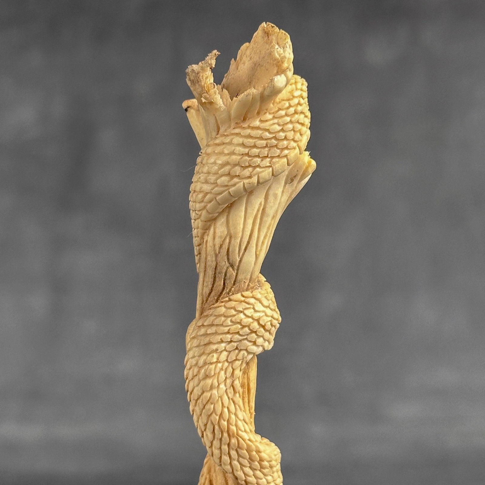 Stunning carved deer antler with stand - Snake carving - 8