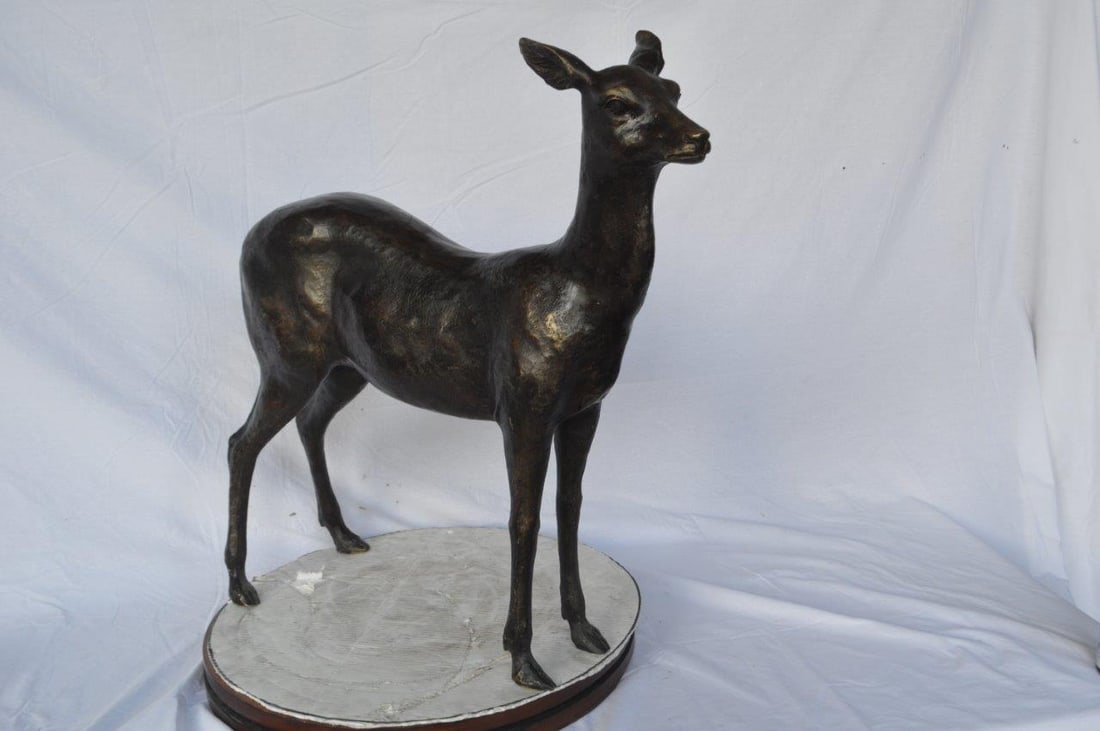 Doe - baby deer bronze statue - Size: 30"L x 8"W x 30"H. - 9