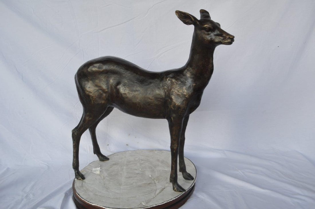 Doe - baby deer bronze statue - Size: 30"L x 8"W x 30"H.: Title:Doe - baby deer bronze statue - Size: 30"L x 8"W x 30"H.Description:This beautiful bronze sculpture of a deer will impress any visitors to your home. This deer is majestic, proudfully and