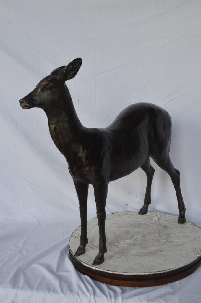 Doe - baby deer bronze statue - Size: 30"L x 8"W x 30"H. - 3