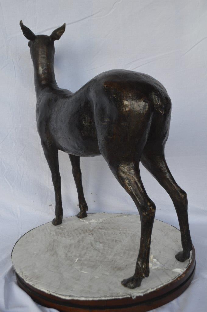 Doe - baby deer bronze statue - Size: 30"L x 8"W x 30"H. - 5