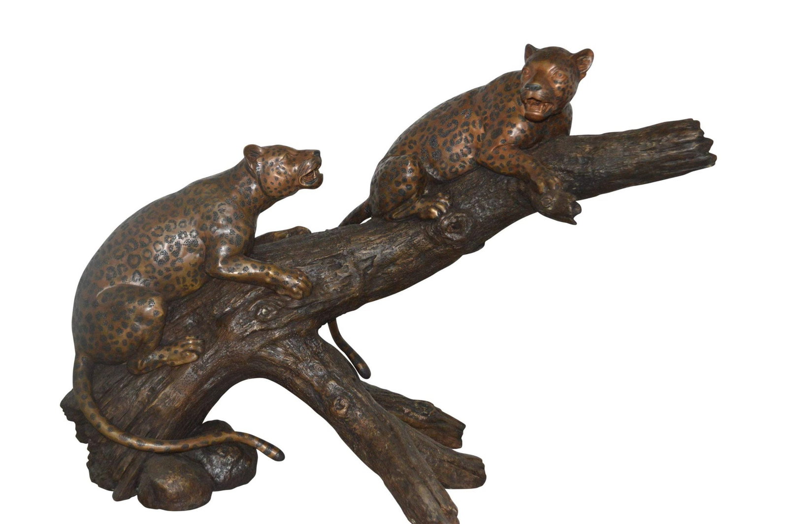 Two Jaguars On A Tree Bronze Statue - Size: 66"L x 34"W x 44"H.: Title:Two Jaguars On A Tree Bronze Statue - Size: 66"L x 34"W x 44"H.Description:This bronze statue displays two jaguars peacefully relaxing on a tree trunk. Observing their surroundings, the pair