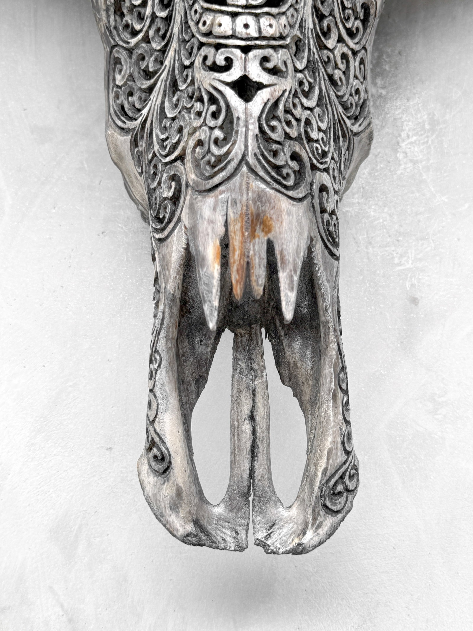Carved grey water buffalo skull - Badong motif - 4