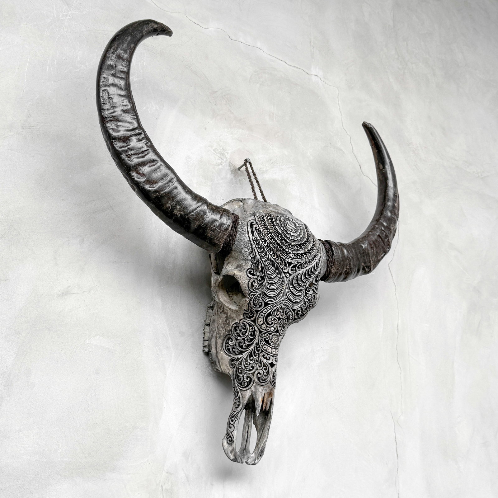 Carved grey water buffalo skull - Badong motif - 5