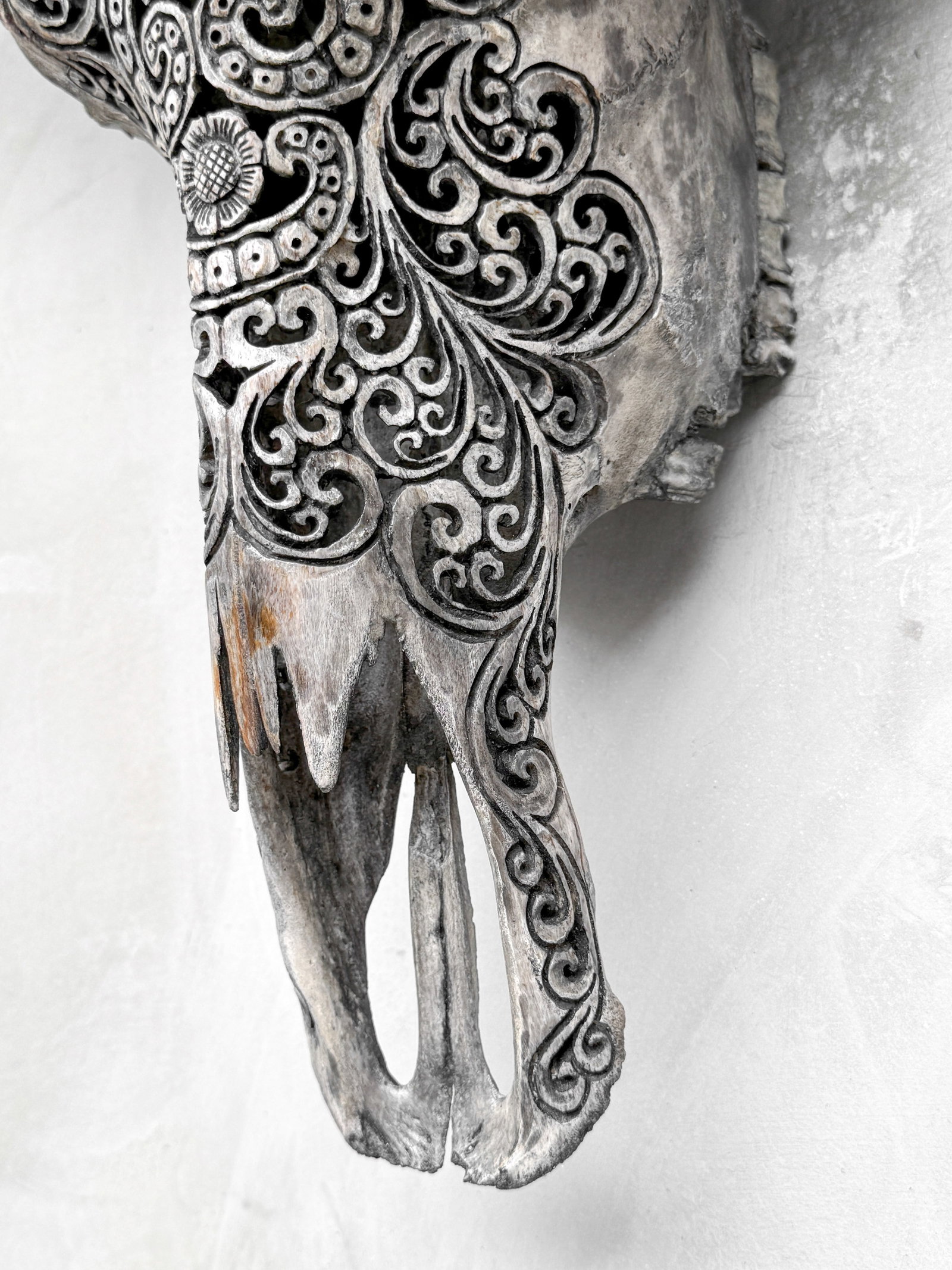 Carved grey water buffalo skull - Badong motif - 8