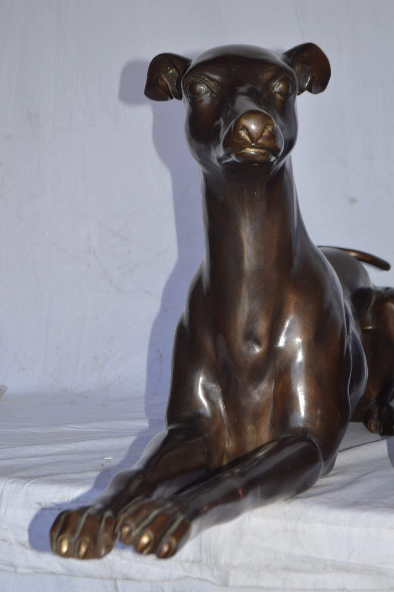 Pair of Greyhound dogs laying down Bronze Statues - Size: 50"L x 11"W x 20"H. - 8