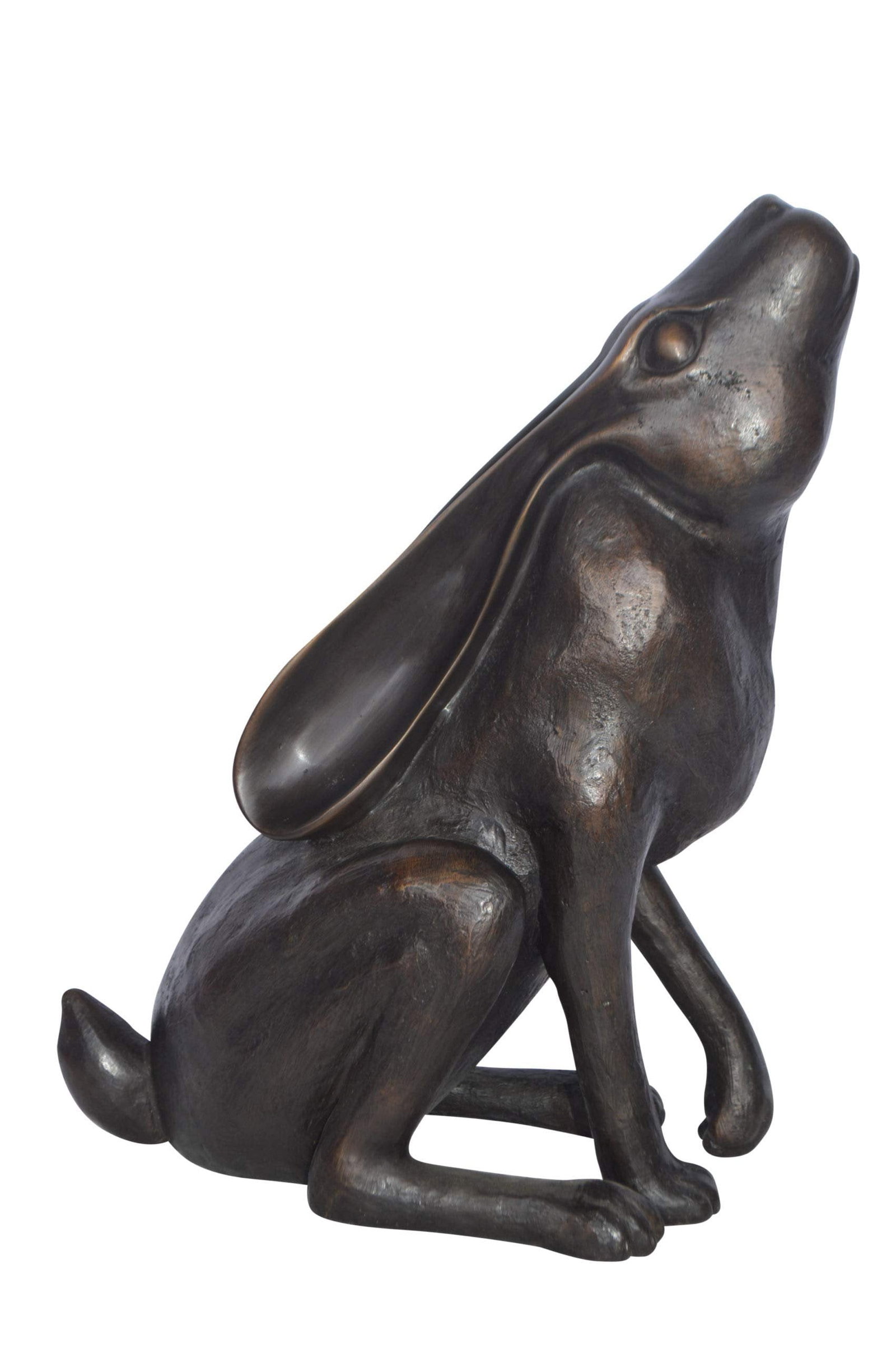 Rabbit Gazing Up Bronze Statue - Size: 8"L x 14"W x 16"H.: Title:Rabbit Gazing Up Bronze Statue - Size: 8"L x 14"W x 16"H.Description:This bronze statue of a rabbit looking up is simple yet artistic in nature. The piece is designed with true talent from the