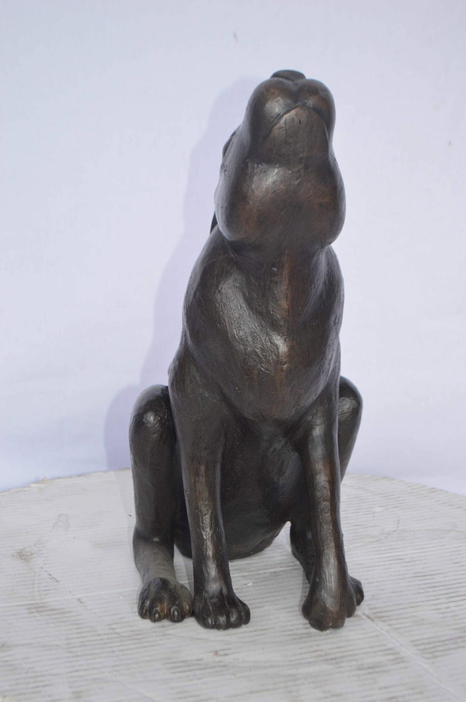 Rabbit Gazing Up Bronze Statue - Size: 8"L x 14"W x 16"H. - 7