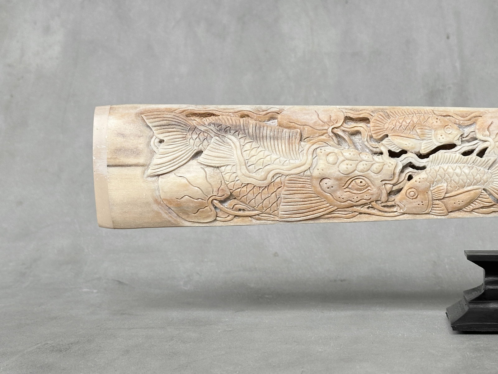 Stunning large carved swordfish tusk - Japanese koi motif - 5