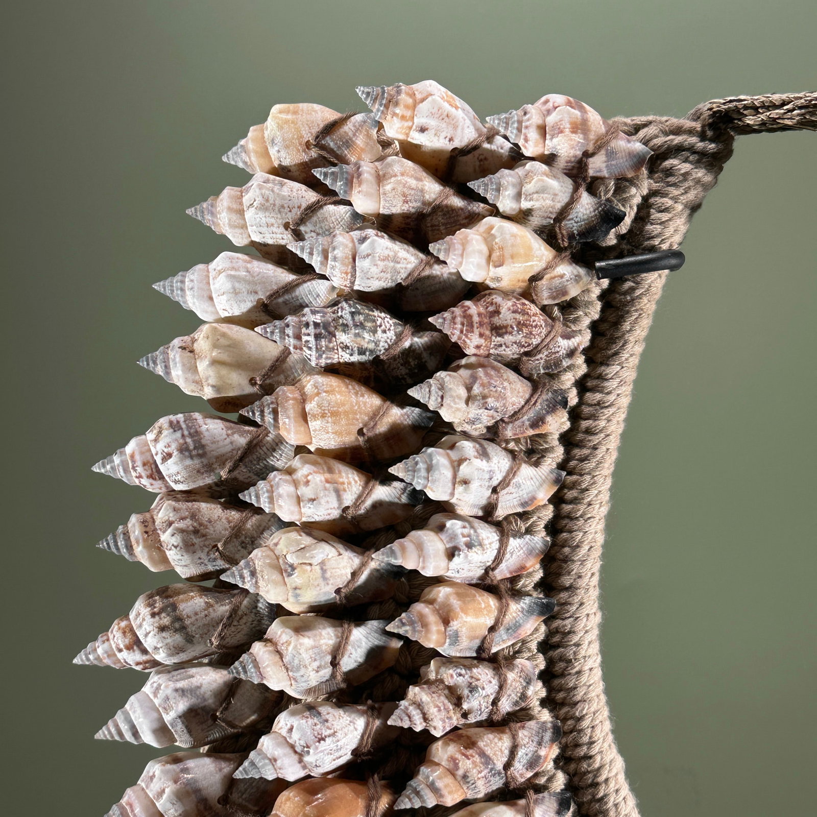 Decorative shell necklace on a custom stand - 2