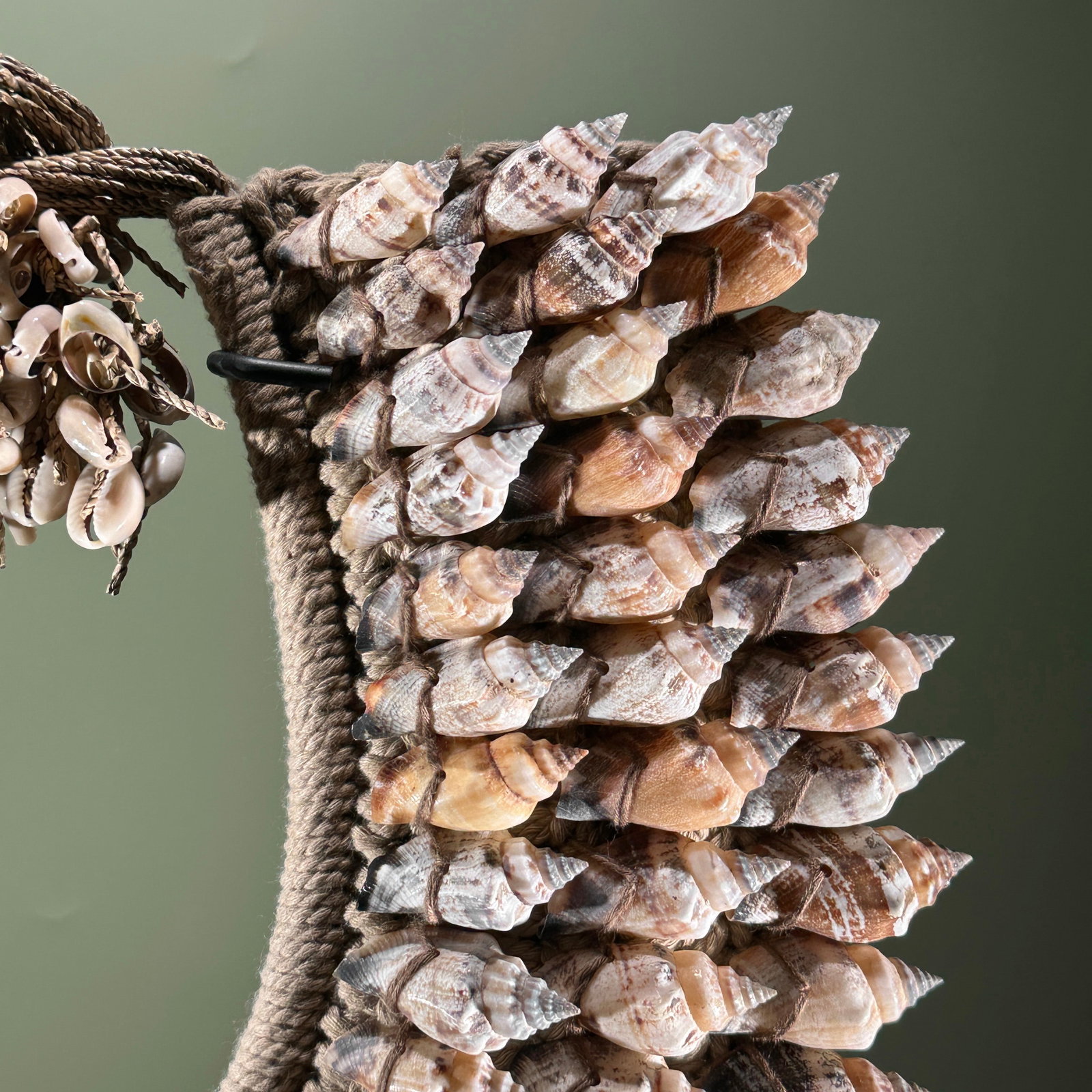 Decorative shell necklace on a custom stand - 6