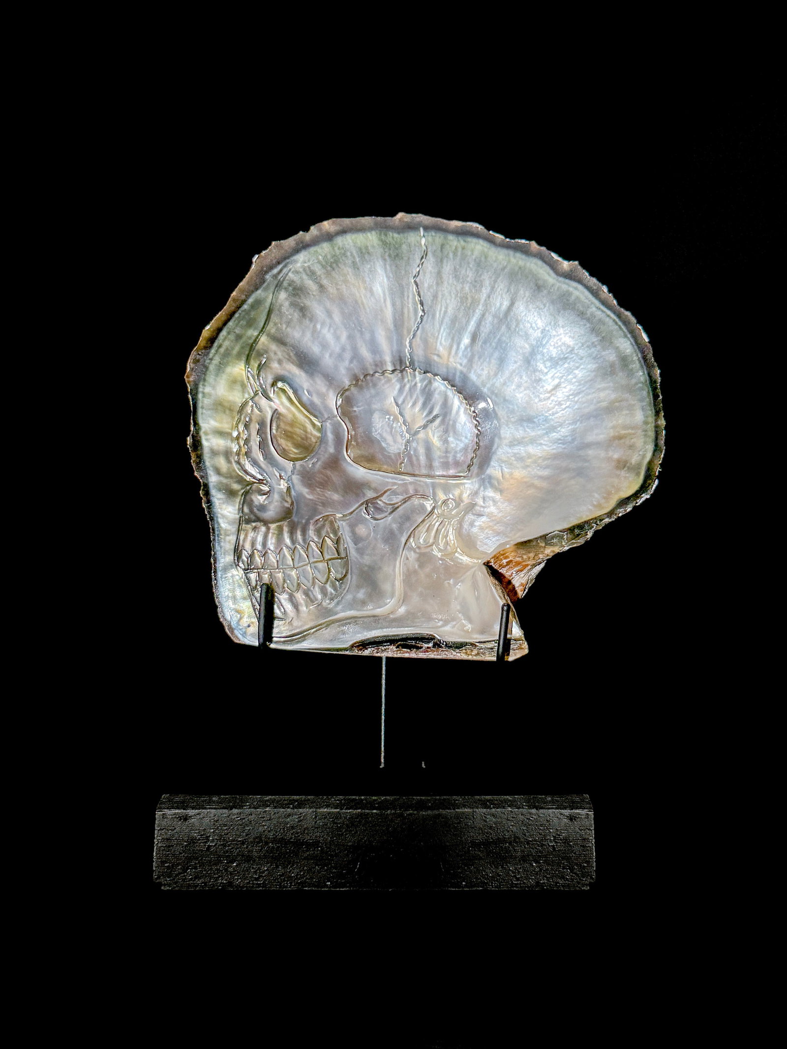 Engraved mother of pearl shell - Human skull motif: Title:Engraved mother of pearl shell - Human skull motif,li>Maker:UnknownOrigin:IndonesiaDate/Period:2026Materials:Pinctada maxima shell, WoodDimensions:Height including stand: 15 cm / 5.9 inches 