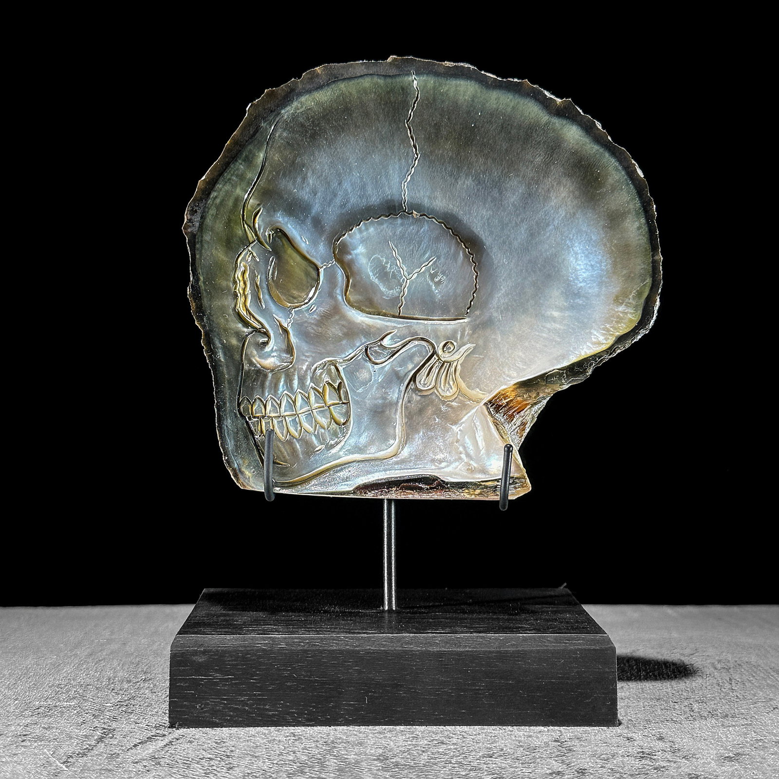 Engraved mother of pearl shell - Human skull motif - 2