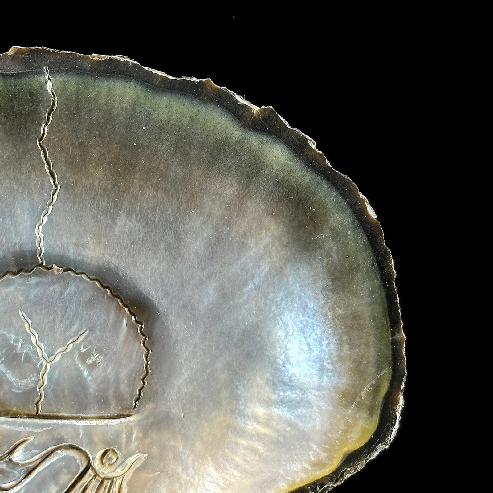 Engraved mother of pearl shell - Human skull motif - 4