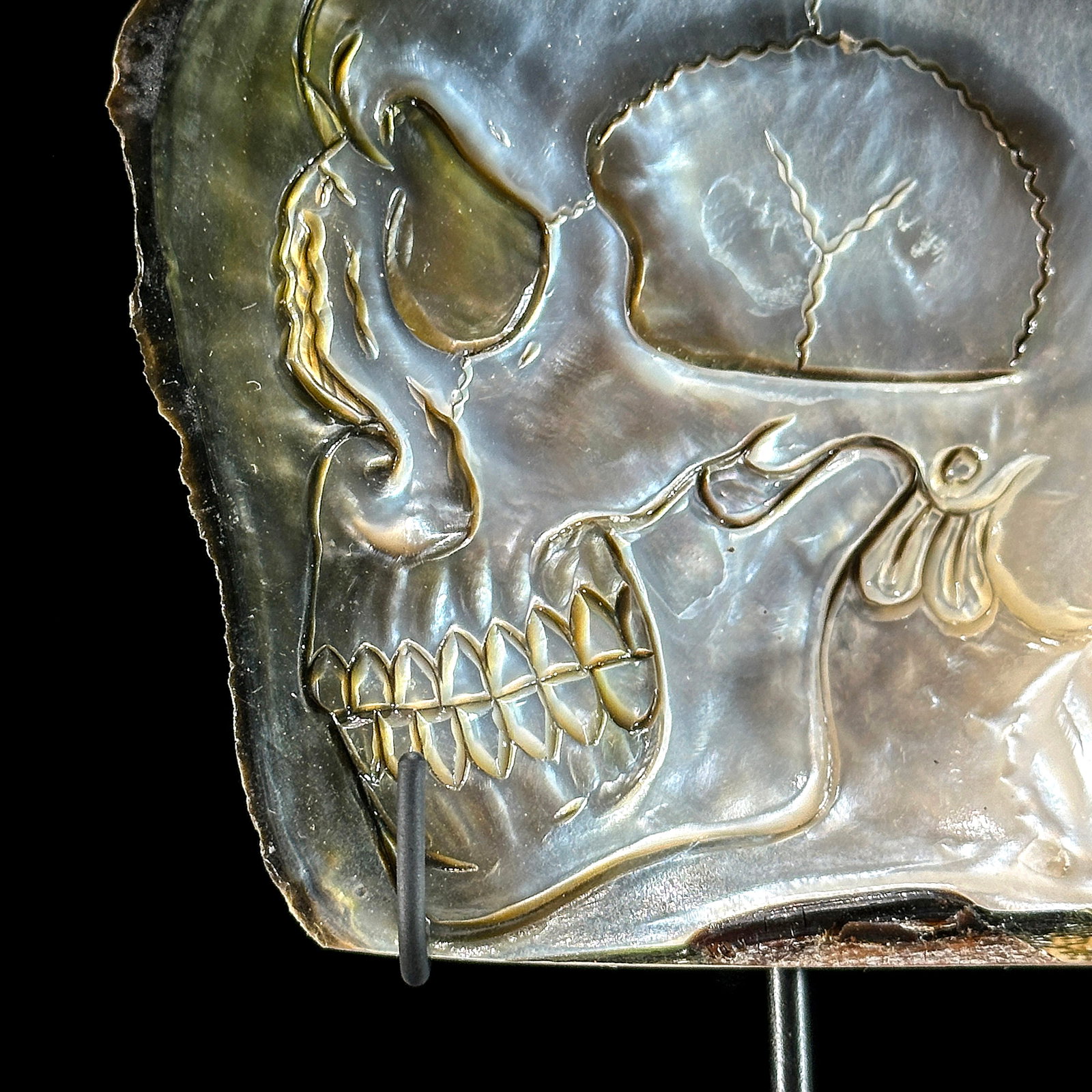 Engraved mother of pearl shell - Human skull motif - 5