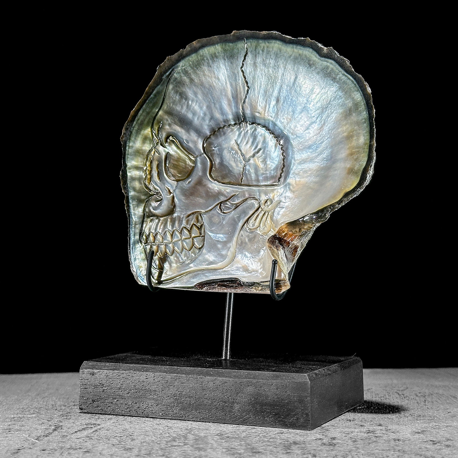 Engraved mother of pearl shell - Human skull motif - 7