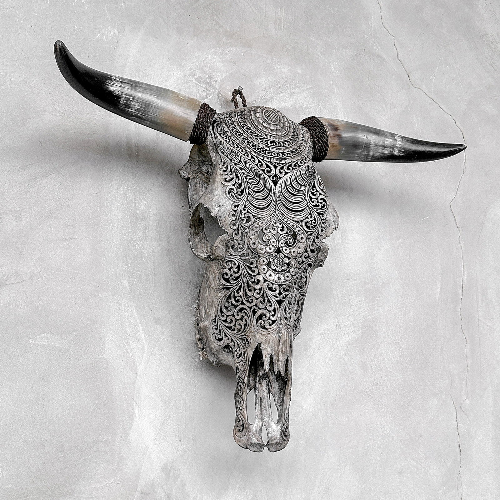 Stunning carved grey bull's skull - Badong motif - 5