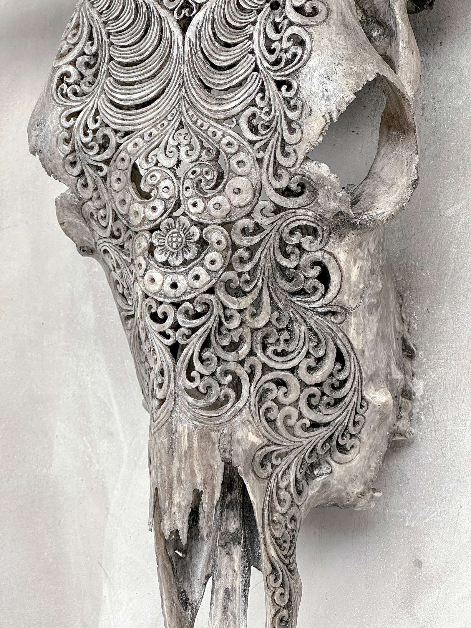 Stunning carved grey bull's skull - Badong motif - 8