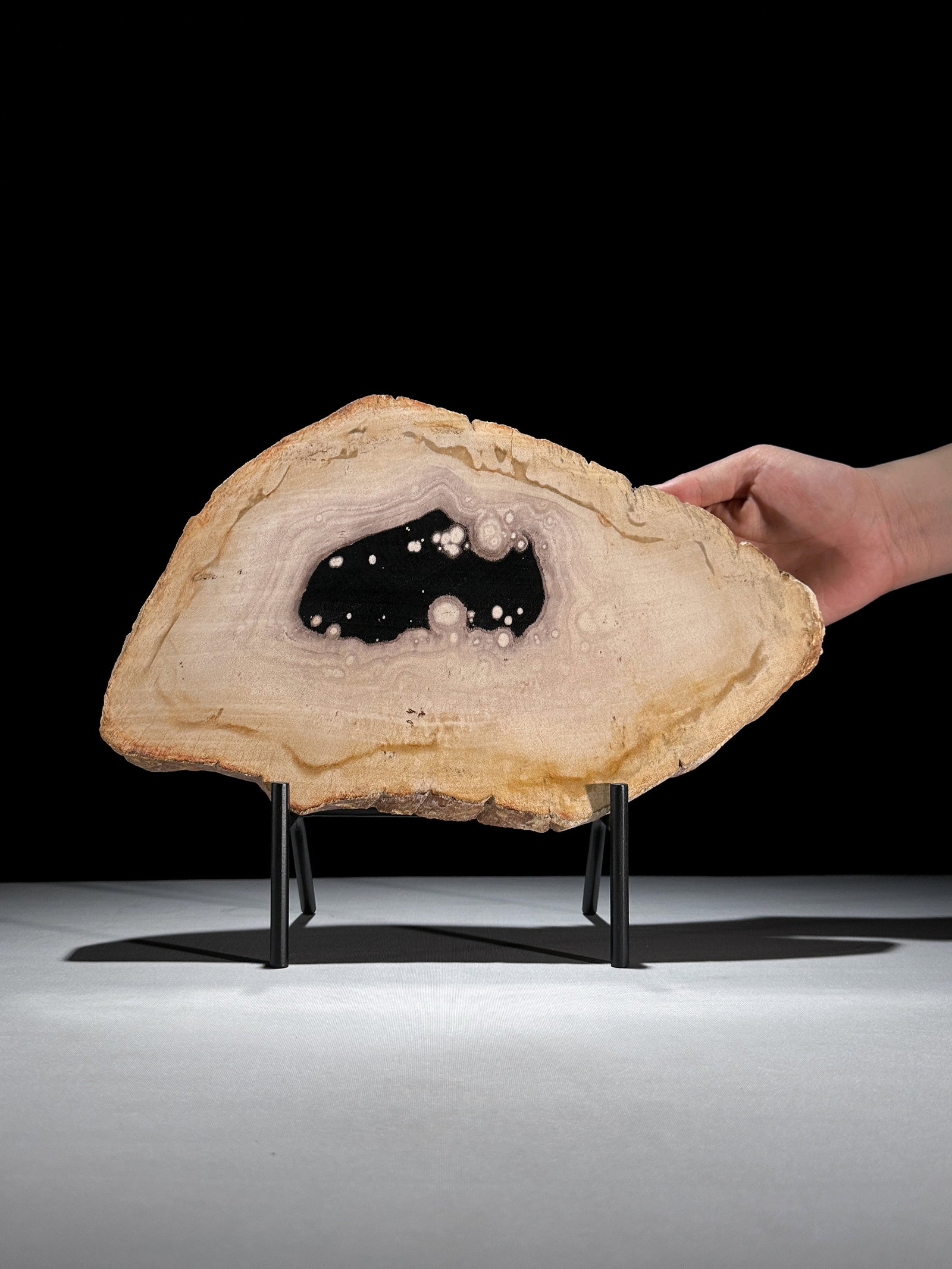 Beautiful slice of petrified wood on a custom stand: Title:Beautiful slice of petrified wood on a custom stand,li>Maker:UnknownOrigin:IndonesiaDate/Period:NEOGENE-Miocene, Aquitanian (20.44?23.03 million years)Materials:Petrified Wood,