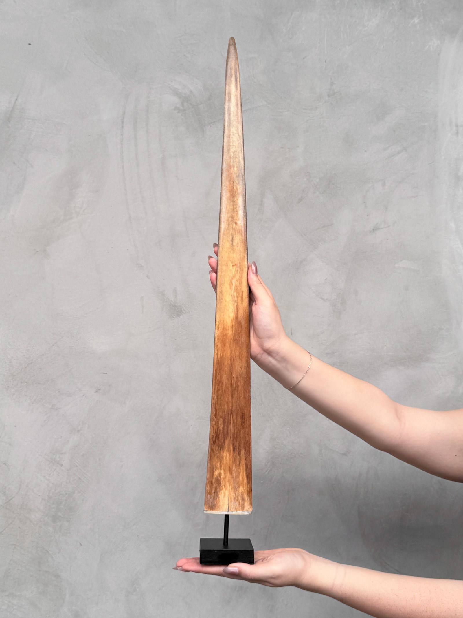 Swordfish tusk with stand: Title:Swordfish tusk with stand,li>Maker:UnknownOrigin:IndonesiaDate/Period:2026Materials:Xiphius Gladius, Bone, SteelDimensions:Height including stand: 74 cm / 29.1 inches,Description:This exquisite