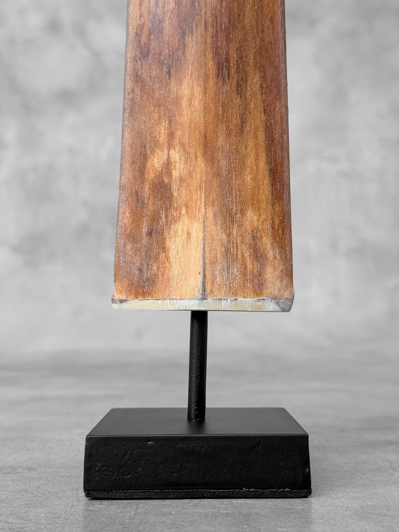 Swordfish tusk with stand - 3