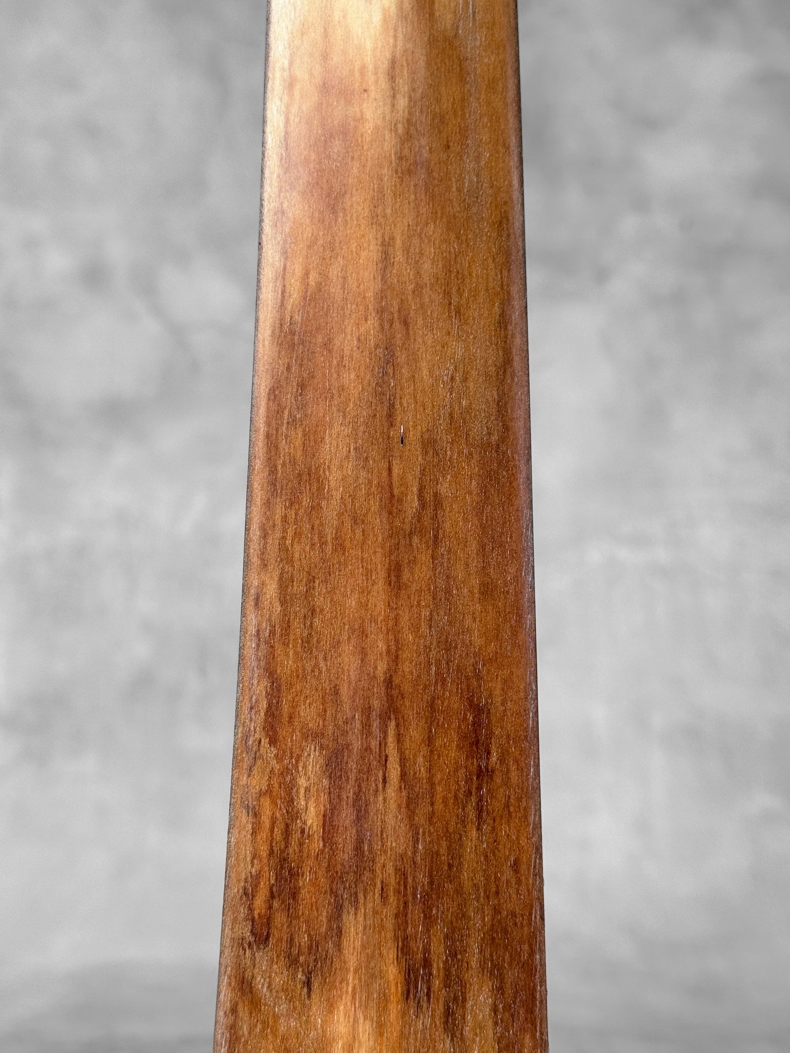 Swordfish tusk with stand - 4