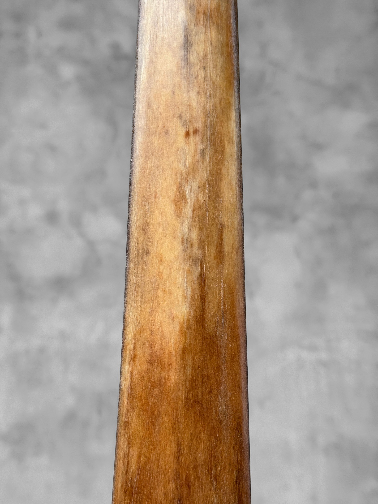 Swordfish tusk with stand - 5