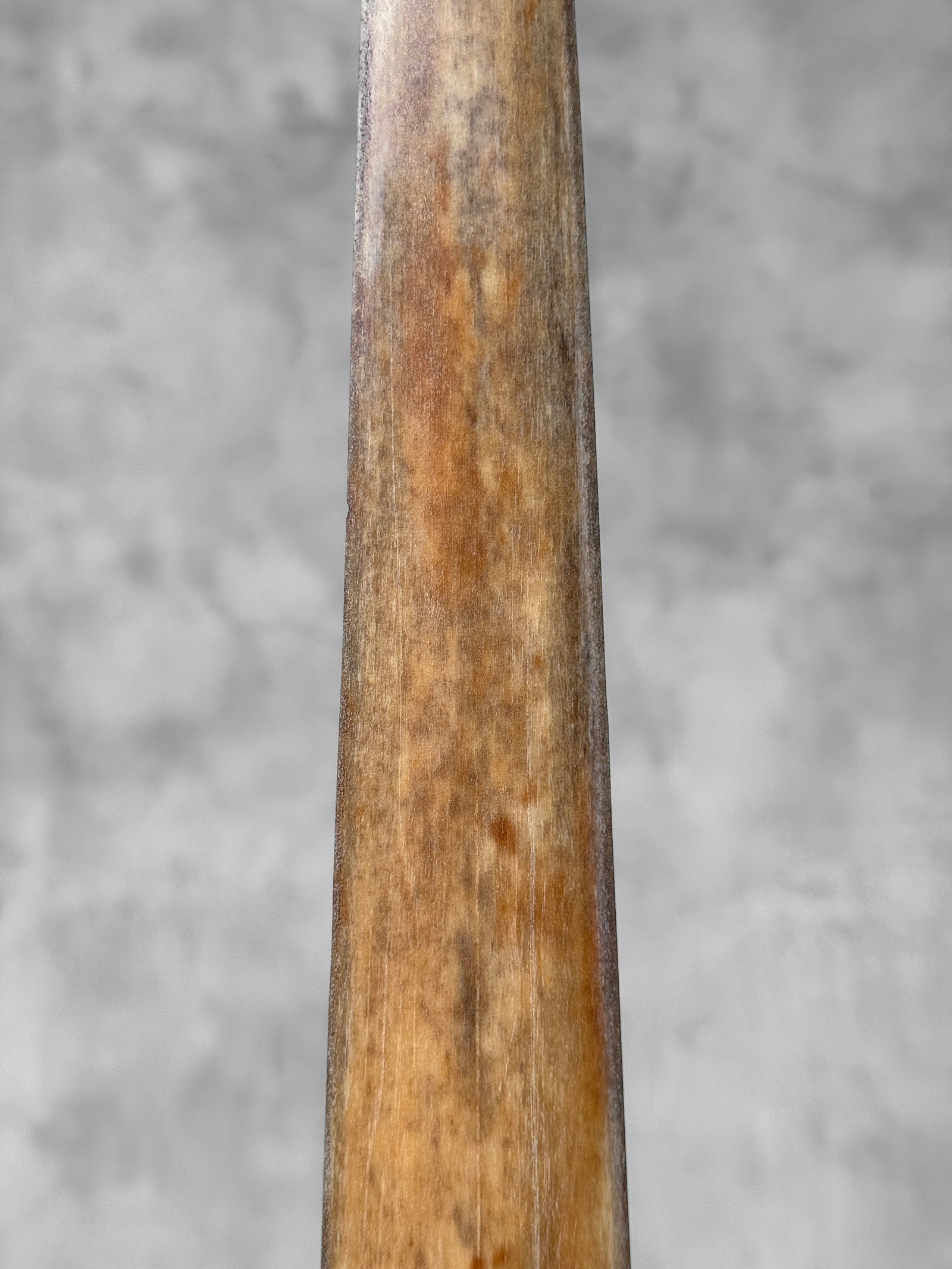 Swordfish tusk with stand - 6