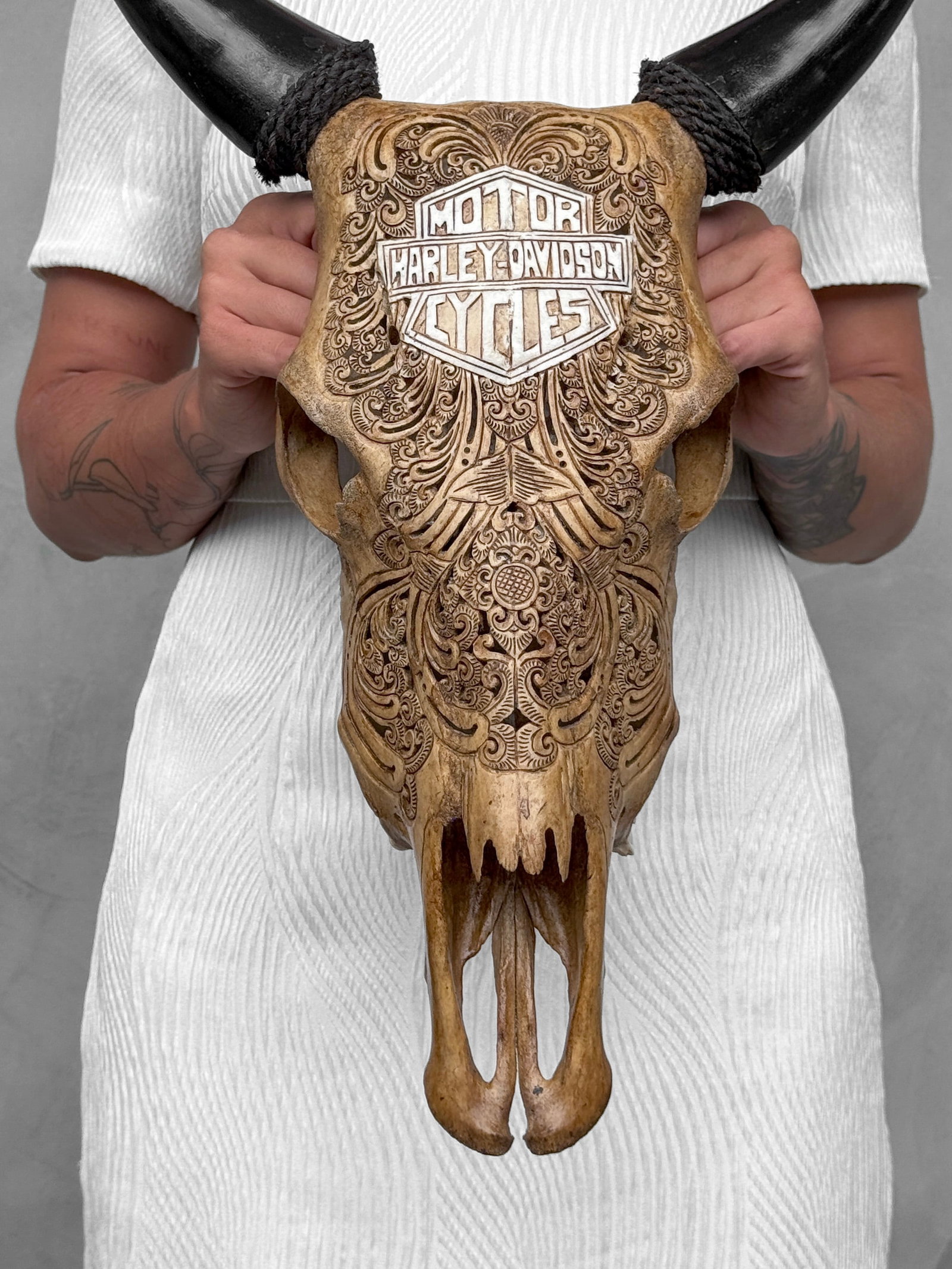 Carved Brown Cow Skull - Motorcycle Motif: Title:Carved Brown Cow Skull - Motorcycle Motif,li>Maker:UnknownOrigin:IndonesiaDate/Period:2026Materials:Bos Taurus, Bone, HornDimensions:Height: 57 cm / 22.4 inches Width 41 cm / 16.1