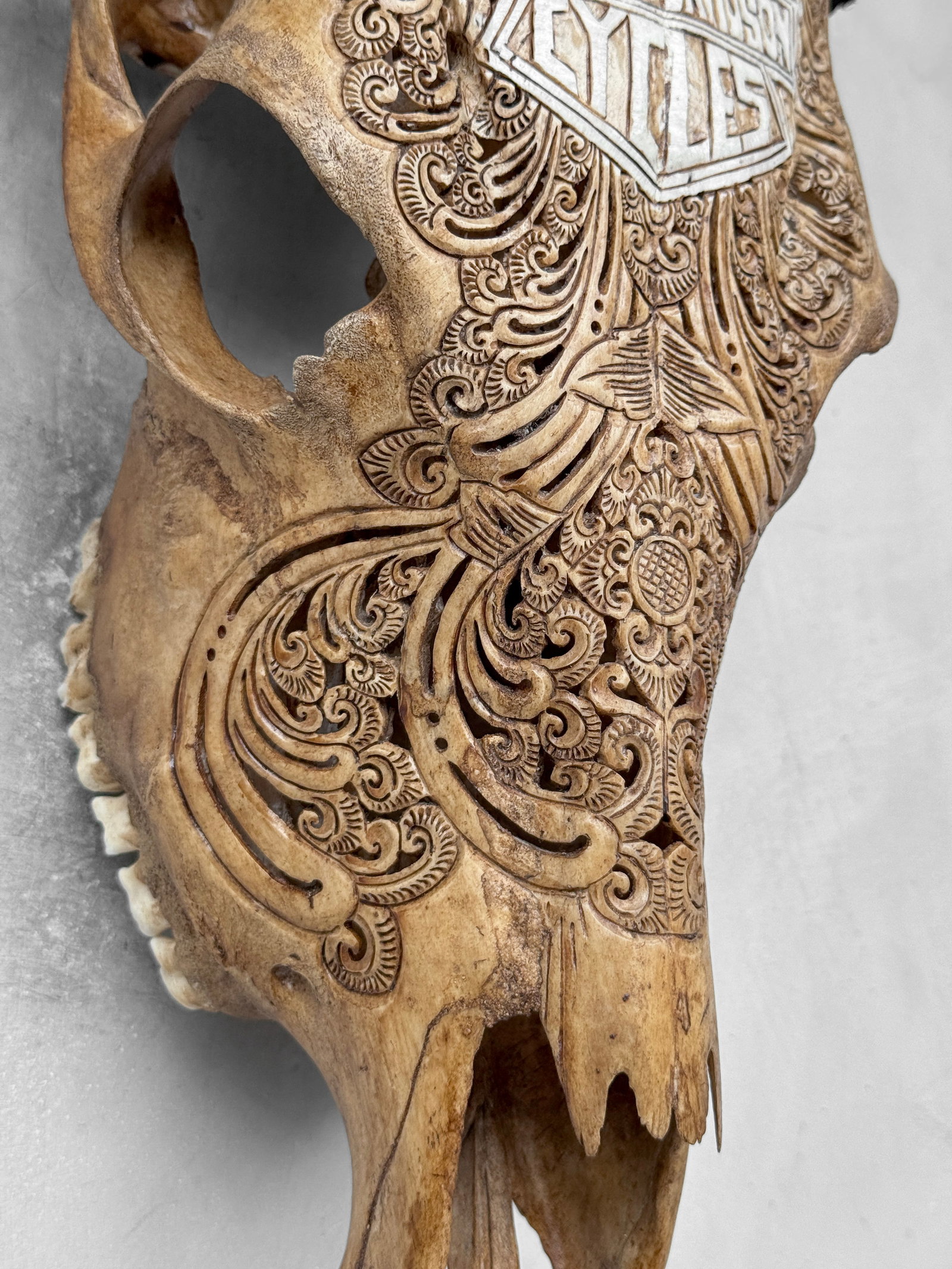 Carved Brown Cow Skull - Motorcycle Motif - 6
