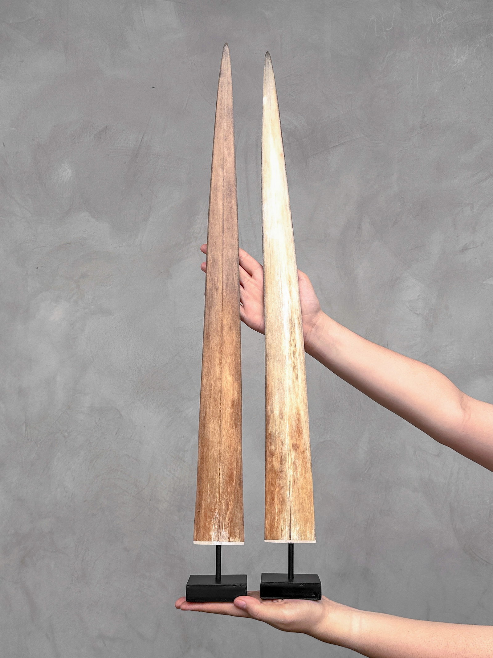 Pair of swordfish tusks with custom stands (1 of 9)