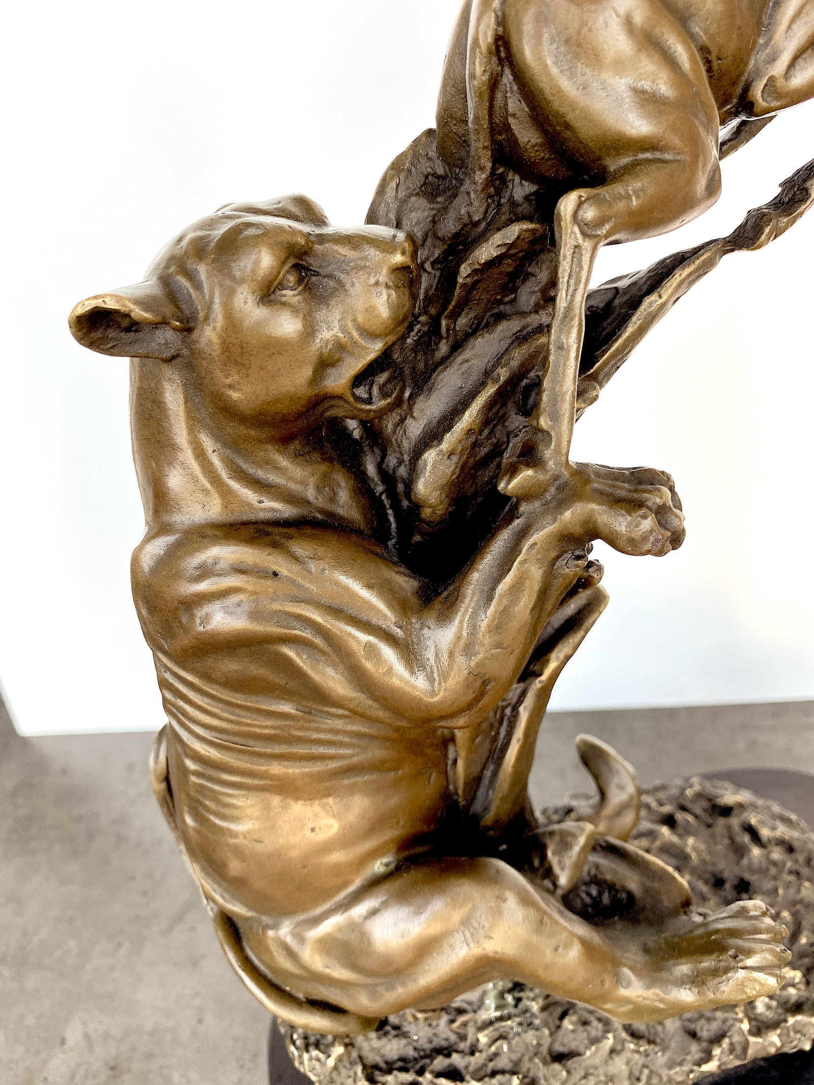 sign. Bronze Lioness hunting an antelope - 4