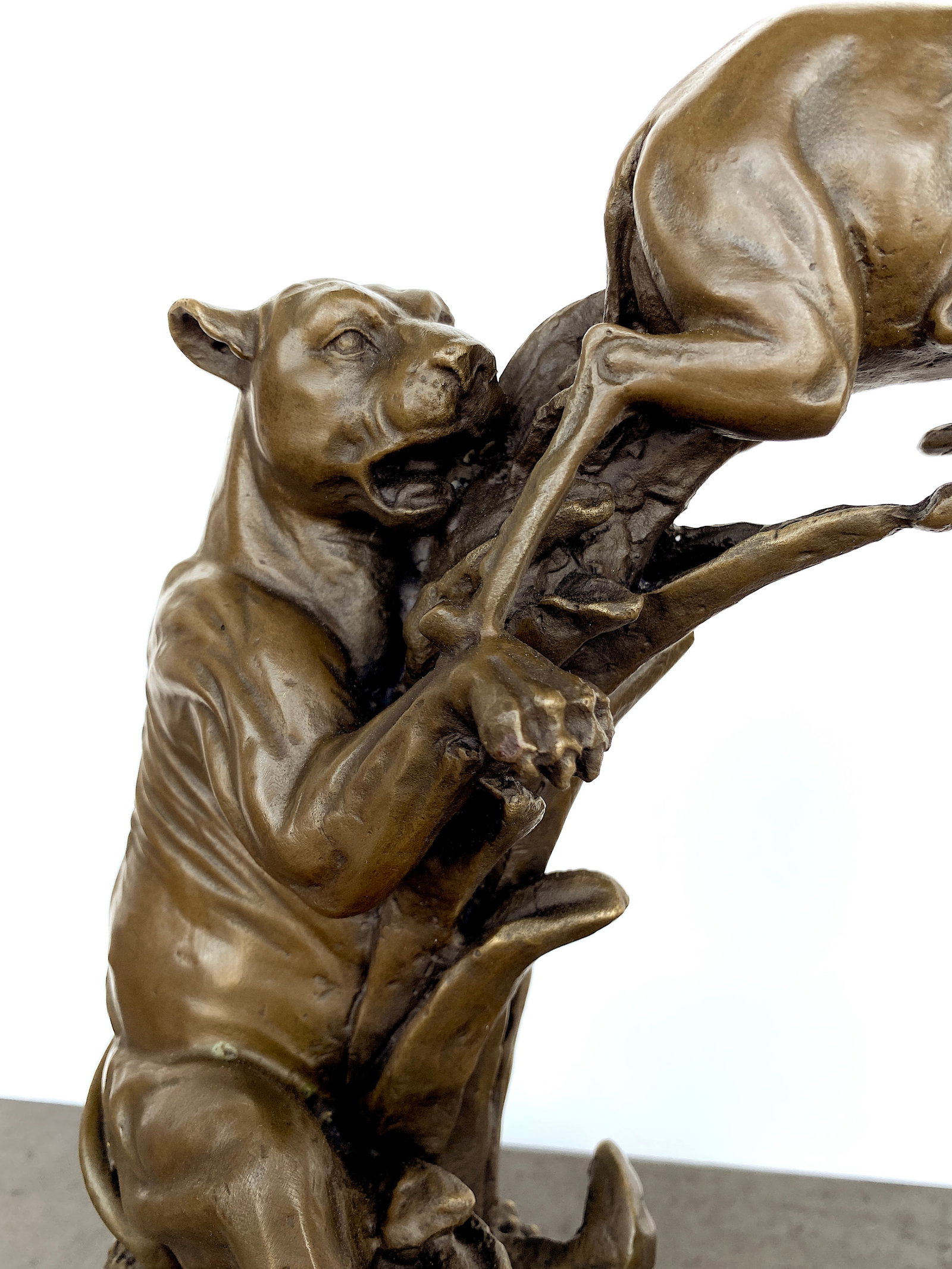 sign. Bronze Lioness hunting an antelope - 5