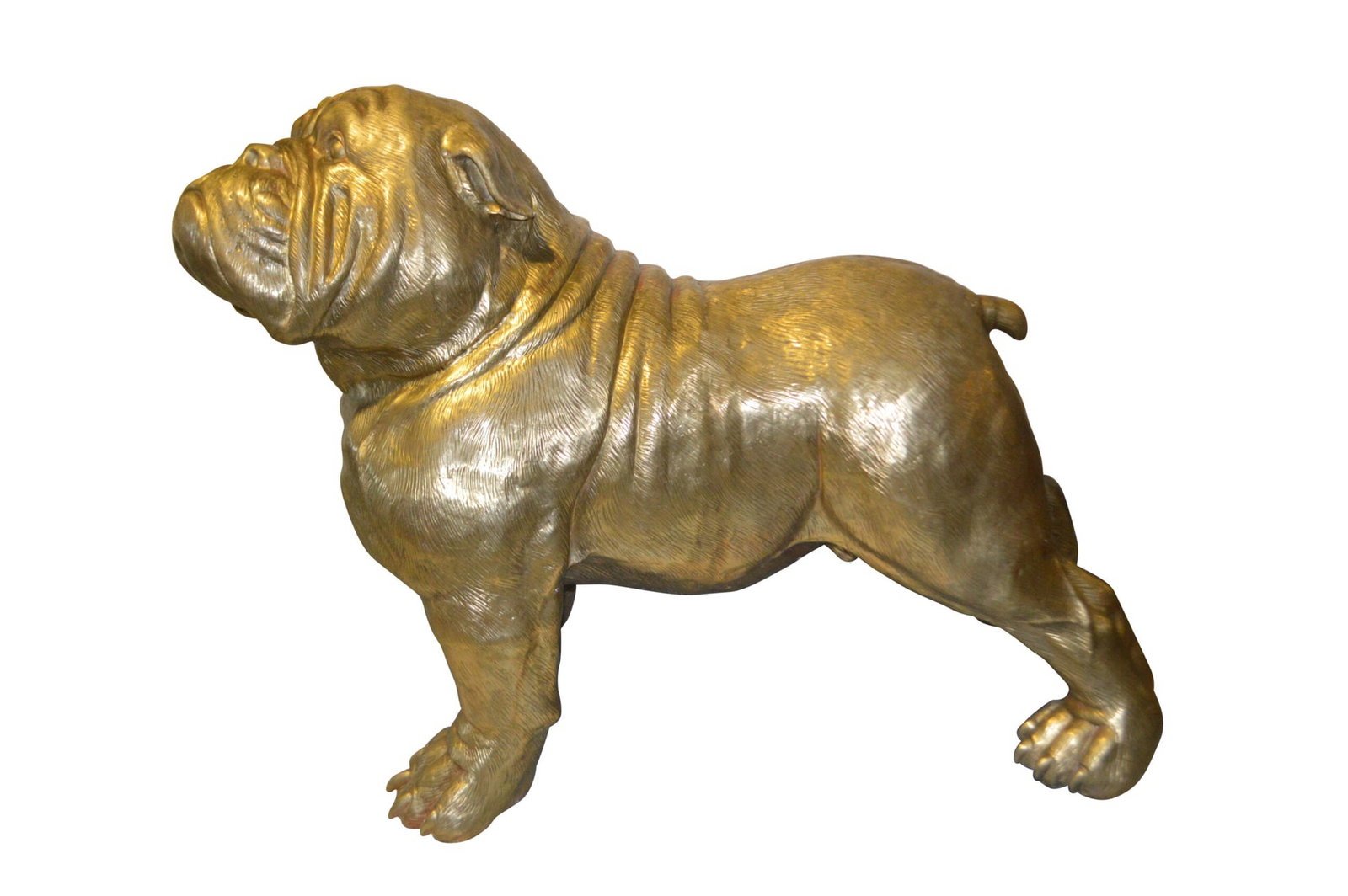 Gold Bulldog Giant Bronze Statue - Size: 62"L x 26"W x 44"H. - 10