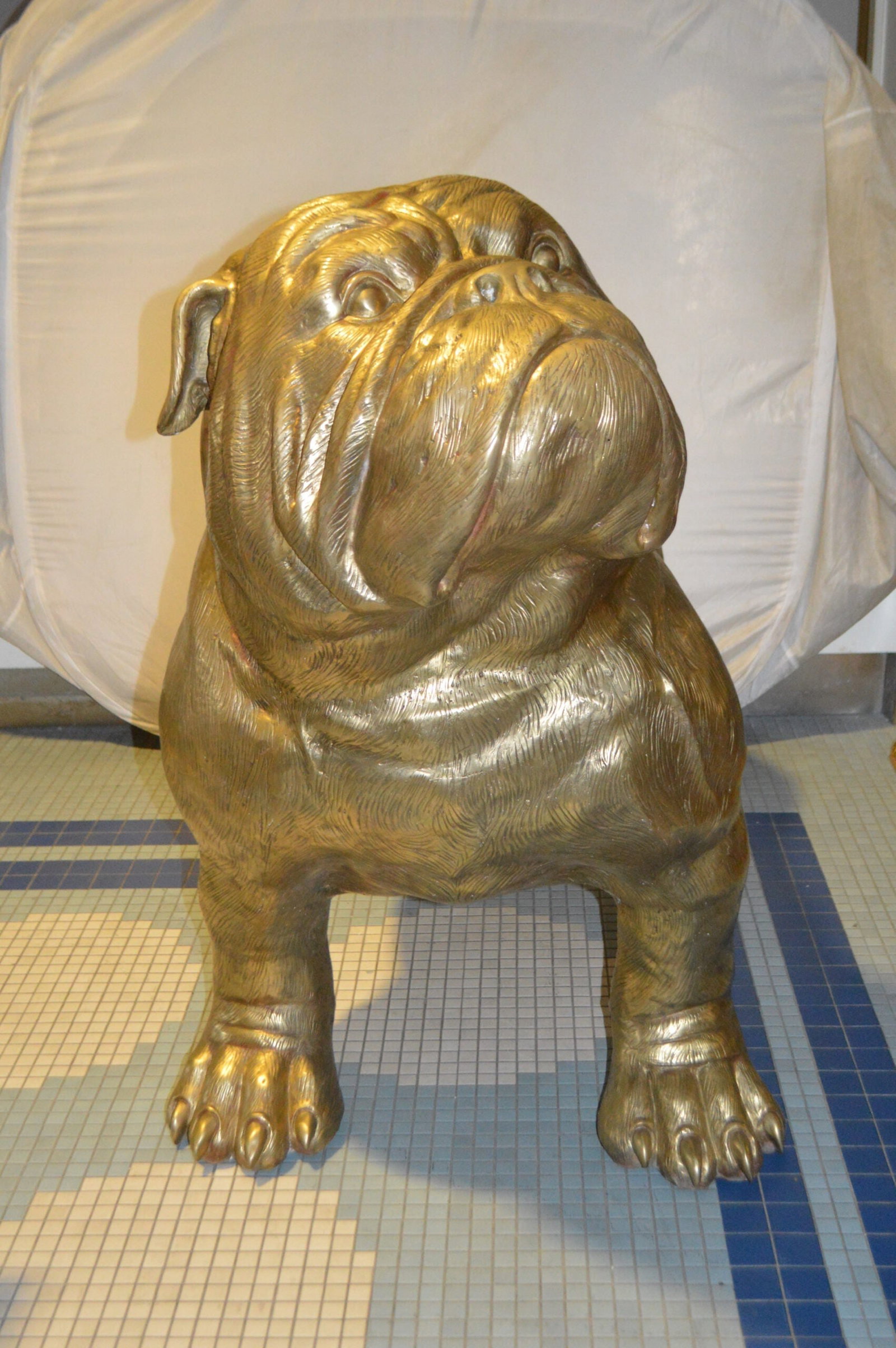 Gold Bulldog Giant Bronze Statue - Size: 62"L x 26"W x 44"H. - 4