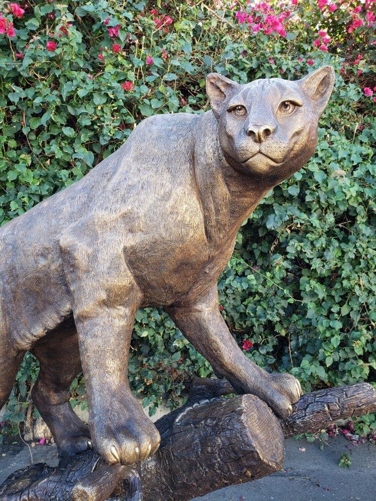 Mountain Lion Going Up a Tree Log Bronze Statue - Size: 42"L x 65"W x 69"H. - 4