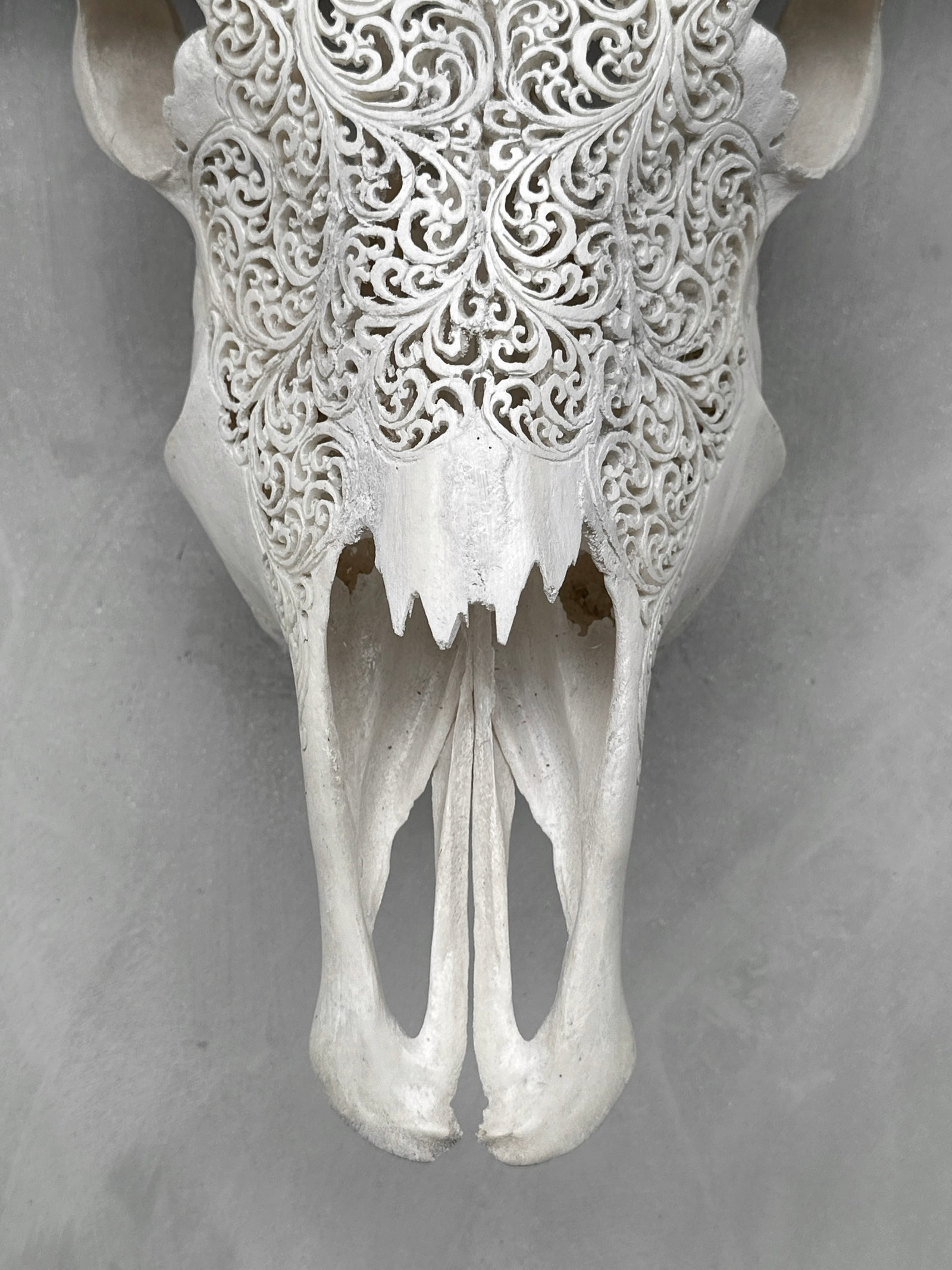 White carved buffalo skull - Fern motif - 4