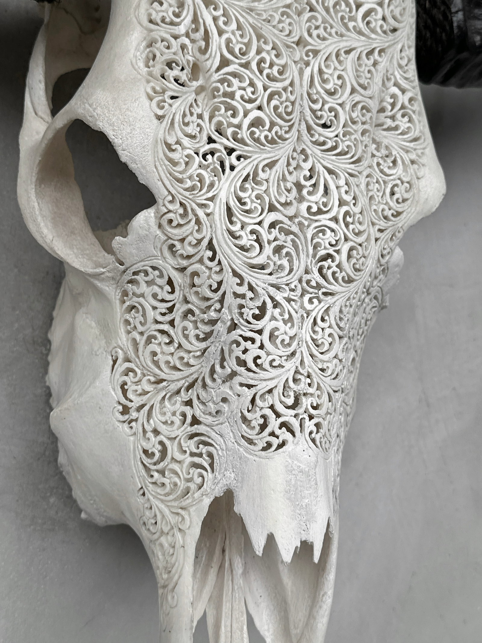 White carved buffalo skull - Fern motif - 6