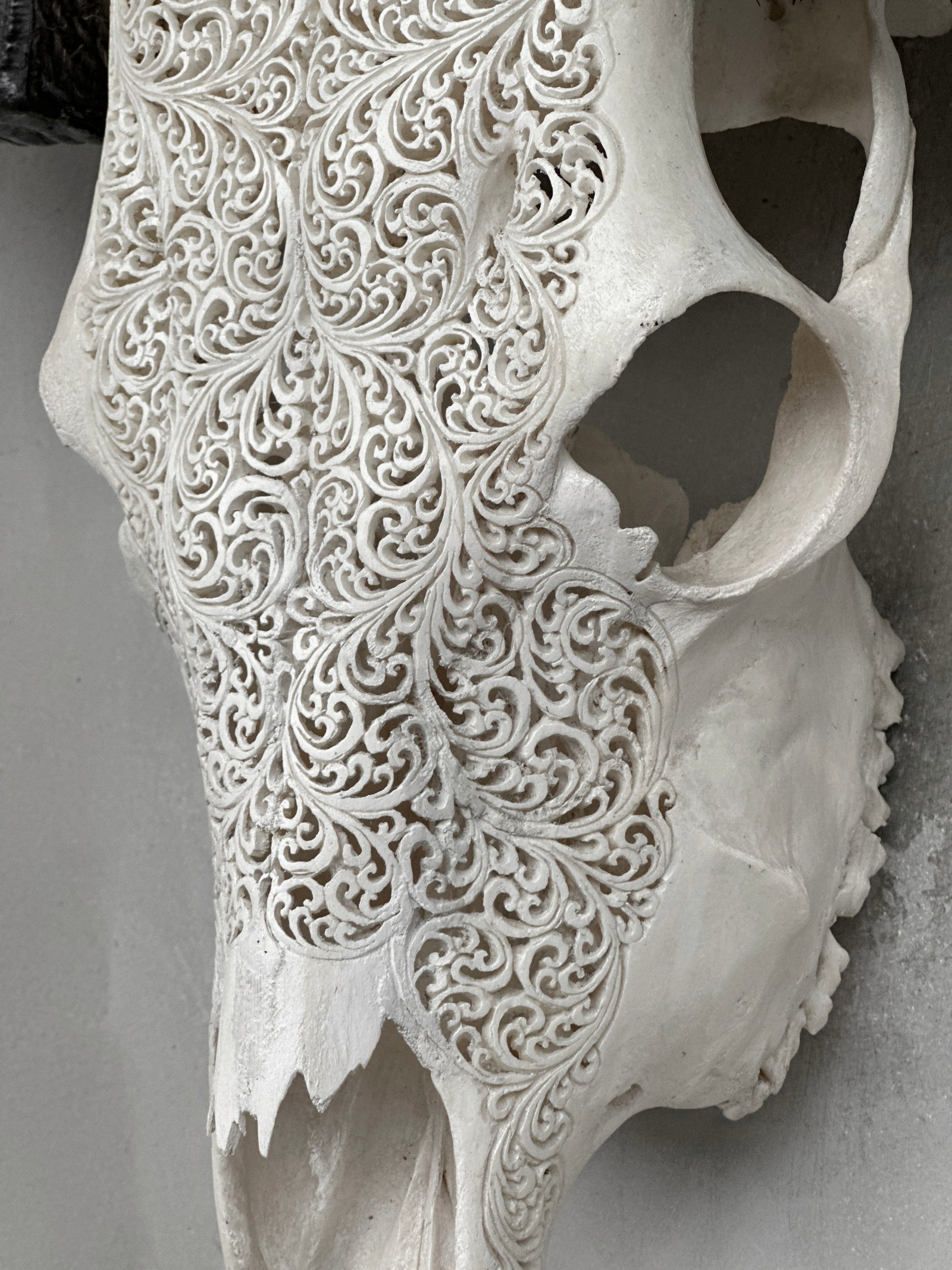 White carved buffalo skull - Fern motif - 8