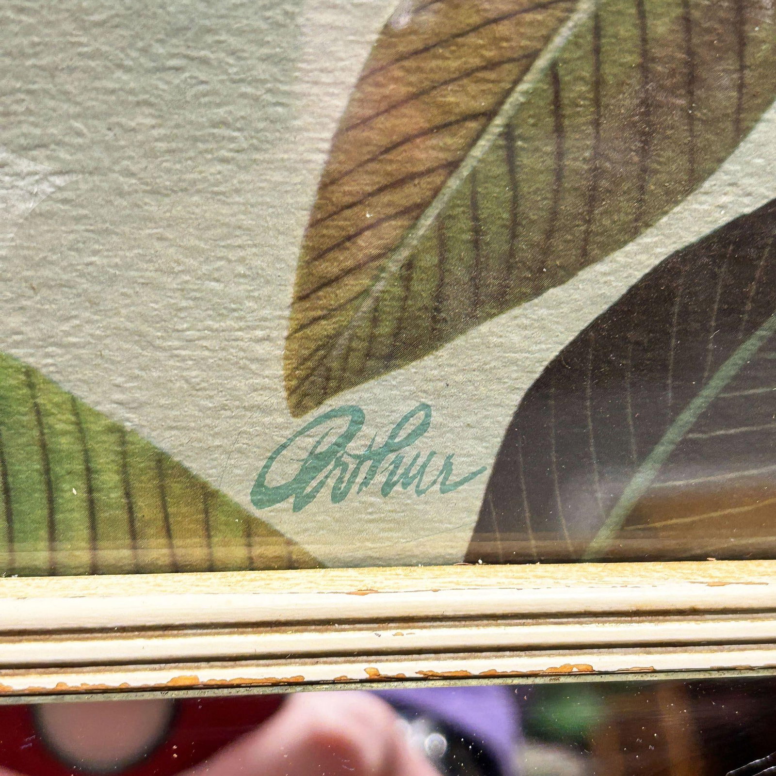 MCM Pink Flamingo Lithograph Print Signed Arthur in Mirror Frame by Turner - 19