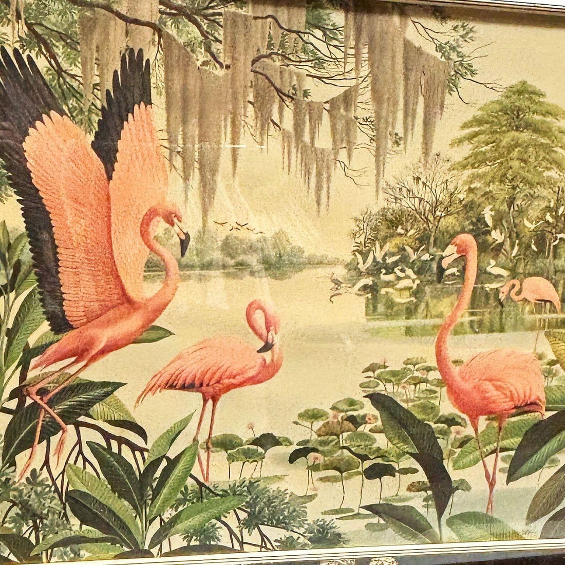 MCM Pink Flamingo Lithograph Print Signed Arthur in Mirror Frame by Turner - 8