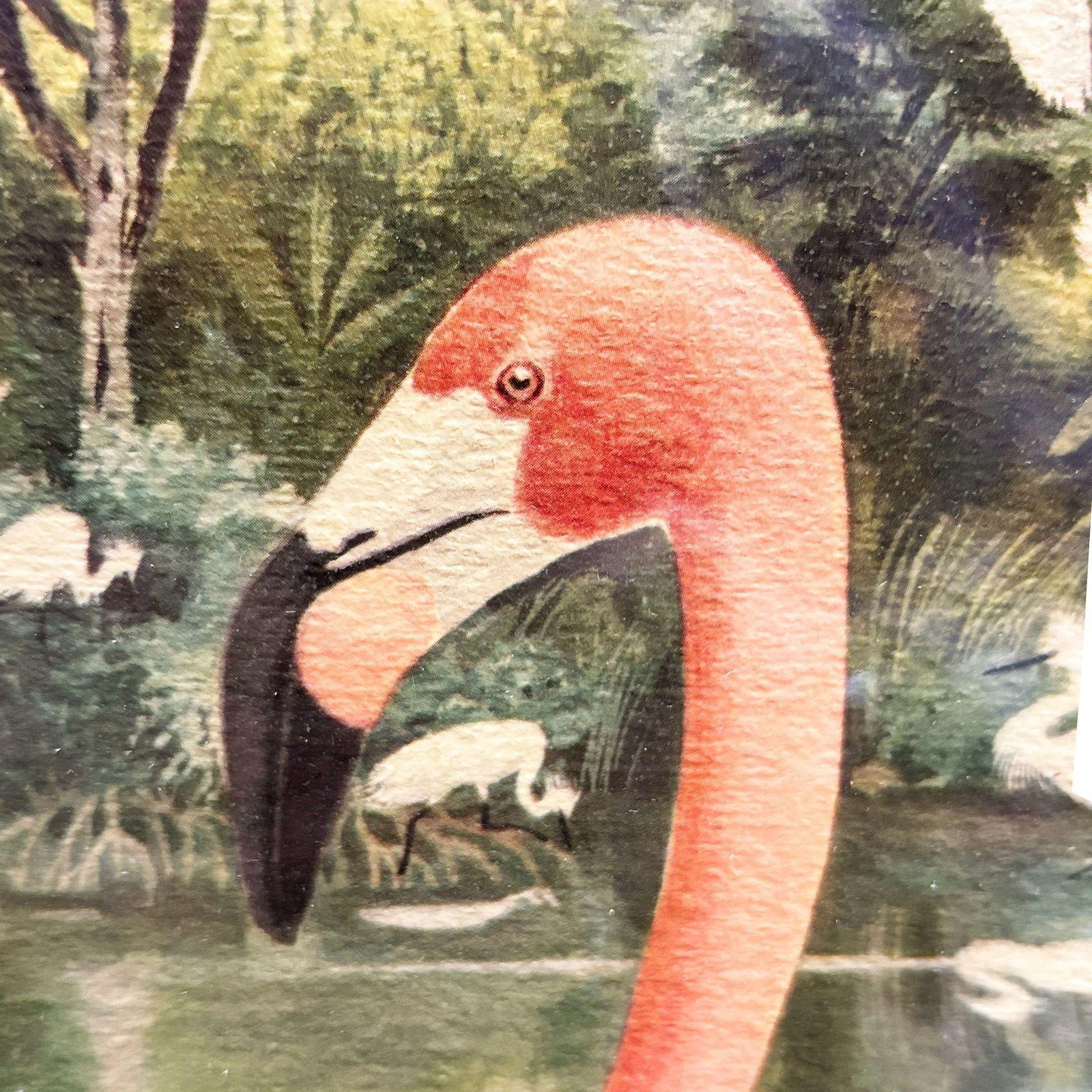 MCM Pink Flamingo Lithograph Print Signed Arthur in Mirror Frame by Turner - 9