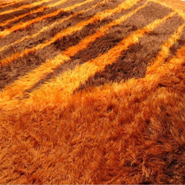 Supernova Shag Rug with Abstract Design, circa 1970 - 12